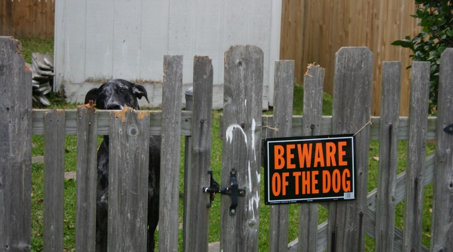 Are there any exceptions to liability for dog owners in North Carolina?