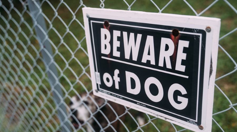 Can a landlord be held liable for a tenant’s dog that bites someone in North Carolina?