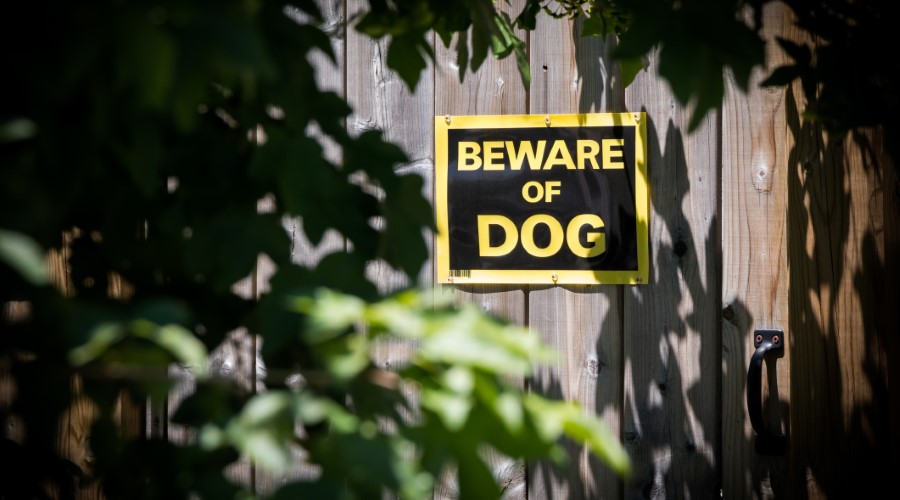 What is the “one-bite rule” in North Carolina dog bite cases?