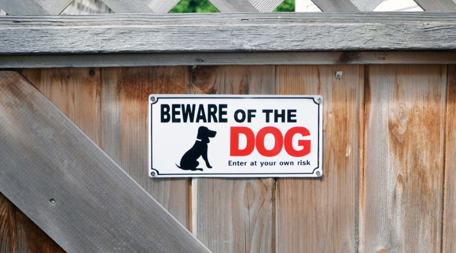 What laws apply to dog bite injuries in North Carolina?