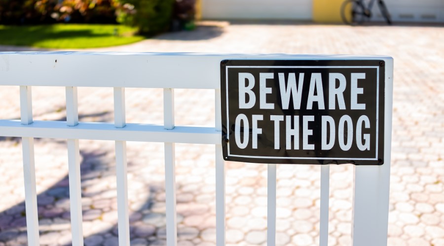Who is liable if a dog bite occurs in North Carolina?